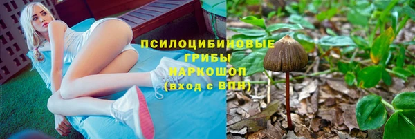 прущие грибы Алексин