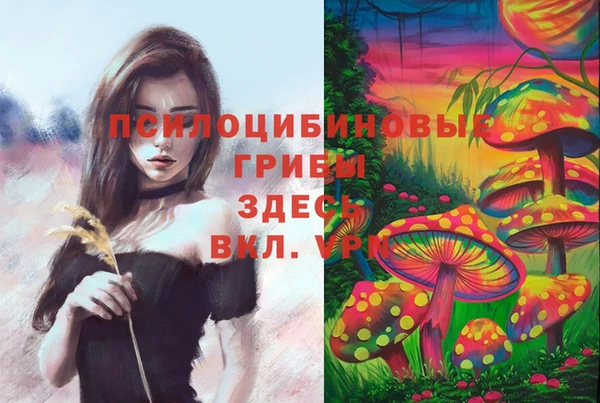 марки nbome Алзамай