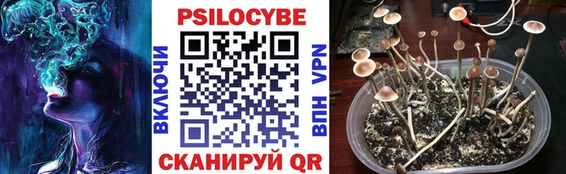 сколько стоит  blacksprut как зайти  Галлюциногенные грибы Psilocybine cubensis  Тула 