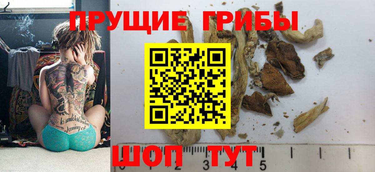 Псилоцибиновые грибы мицелий  хочу   Тула  Галлюциногенные грибы GOLDEN TEACHER  Вход с VPN 